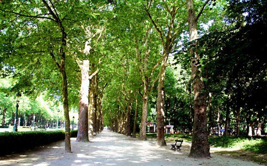 Elisabethpark