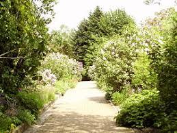 De Botanische Tuin Jean Massart