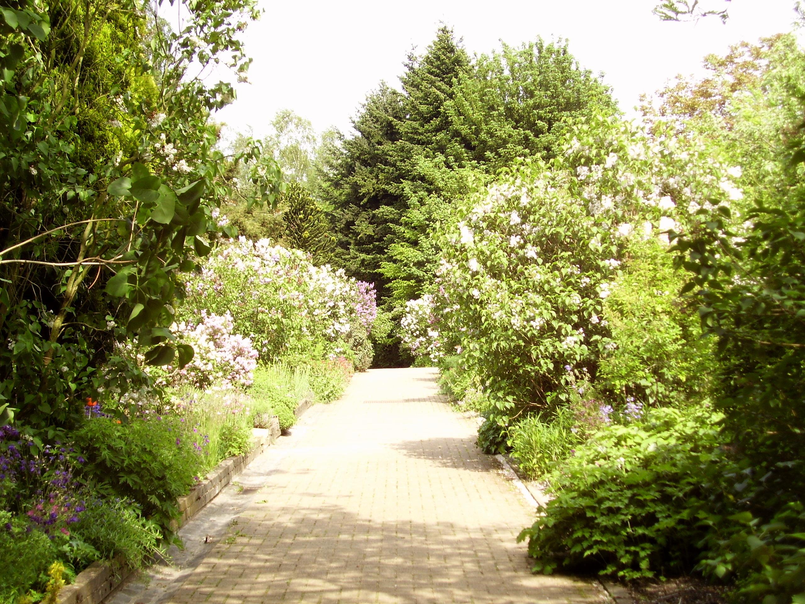 Botanische tuin Jean Massart